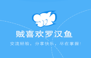 贼喜欢罗汉鱼app